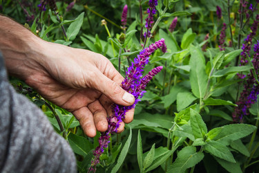 Similar image 21824417