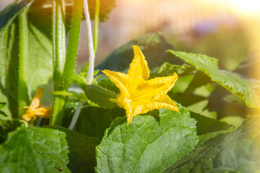 Similar image 21824555