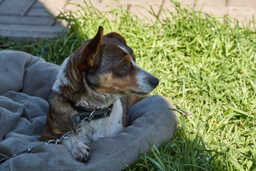 Similar image 21818194