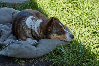 Similar image 21818195