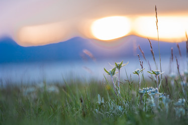 Similar image 21818760