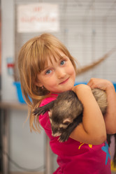 Similar image 21818782