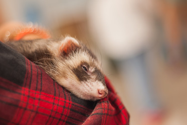 Similar image 21818783