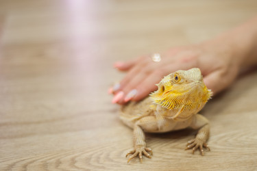 Similar image 21818784