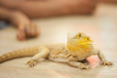 Similar image 21818786