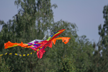 Similar image 21818787