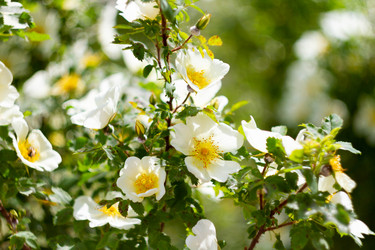 Similar image 21824559