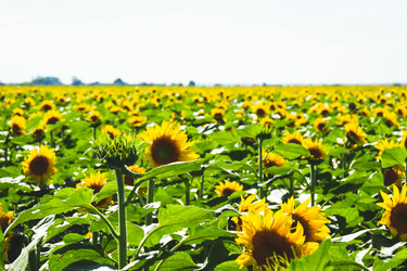 Similar image 21824561