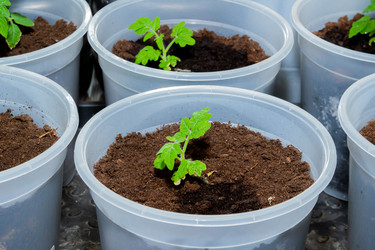 Similar image 21824569