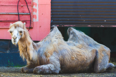 Similar image 21824589