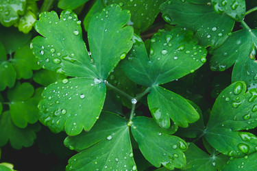 Similar image 21824591