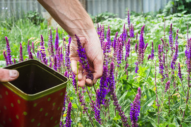 Similar image 21824989