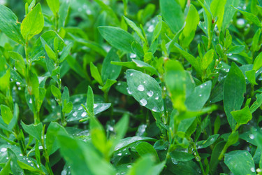 Similar image 21824990