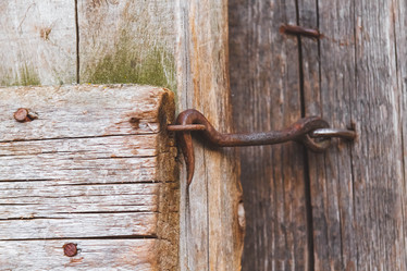 Similar image 21824992