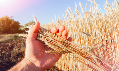 Similar image 21824993