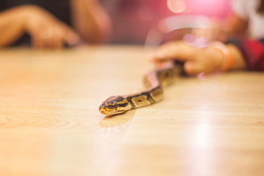 Similar image 21818790