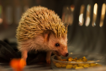 Similar image 21818794