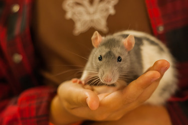 Similar image 21818795