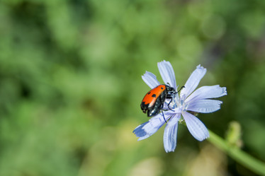 Similar image 21818796