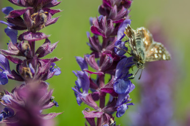 Similar image 21818797