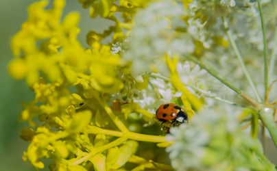 Similar image 21818798