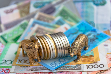 Similar image 21818209