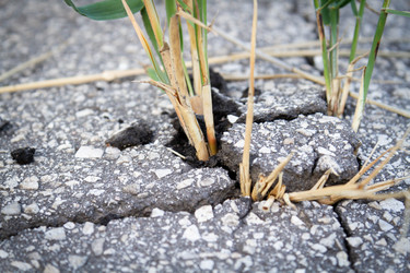 Similar image 21825154