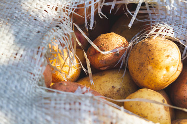 Similar image 21825155