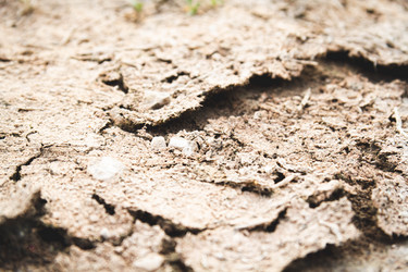 Similar image 21825165