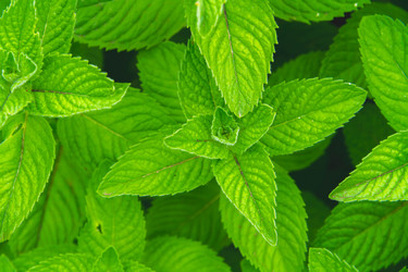 Similar image 21823895