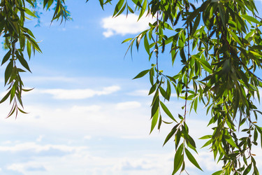 Similar image 21823896