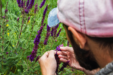 Similar image 21824425