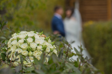 Similar image 21820044