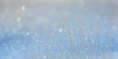 Similar image 21820462