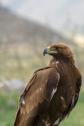 Similar image 21820463