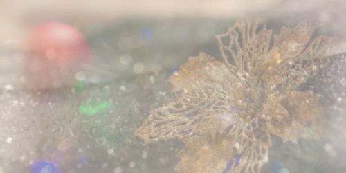 Similar image 21820464