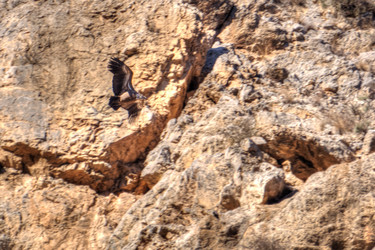 Similar image 21820481