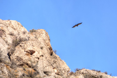 Similar image 21820482