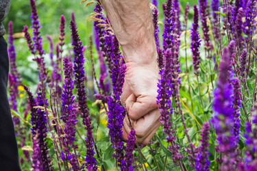 Similar image 21824597