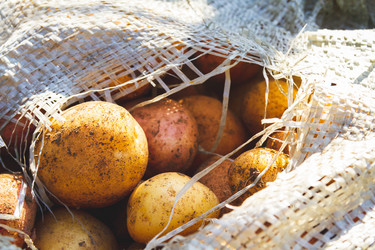 Similar image 21824600