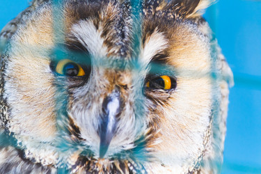 Similar image 21824603