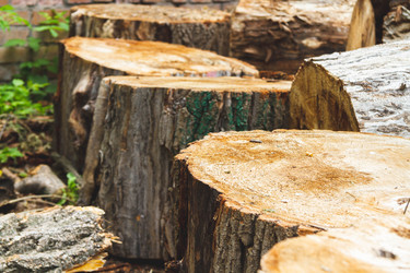 Similar image 21824997