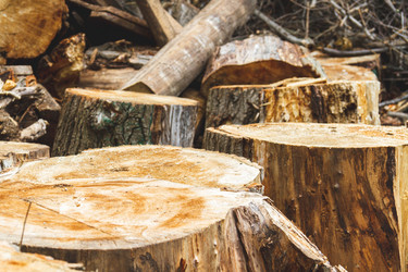 Similar image 21825001