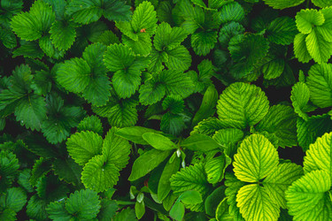 Similar image 21825016