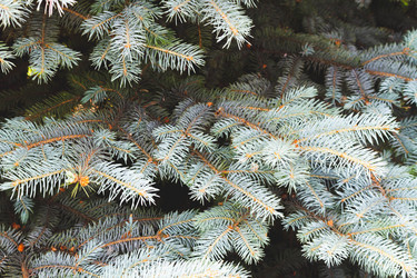 Similar image 21825052