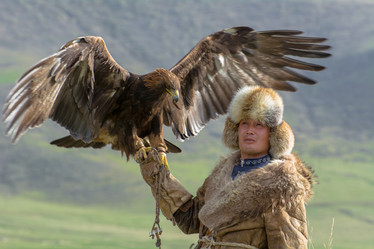 Similar image 21820484