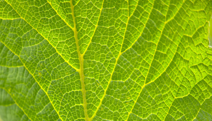 Similar image 21820487