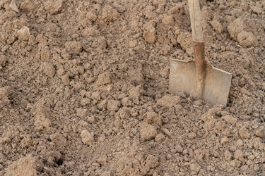 Similar image 21825085