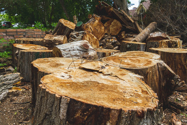 Similar image 21825181