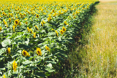 Similar image 21825188